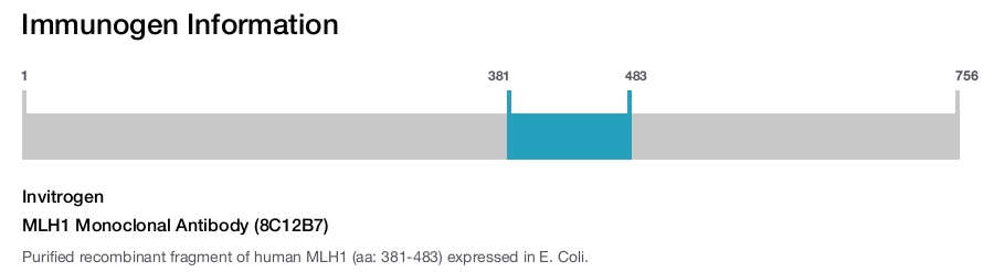 MLH1 Monoclonal Antibody (8C12B7)