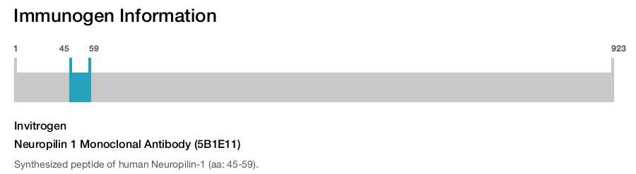 Neuropilin 1 Monoclonal Antibody (5B1E11)