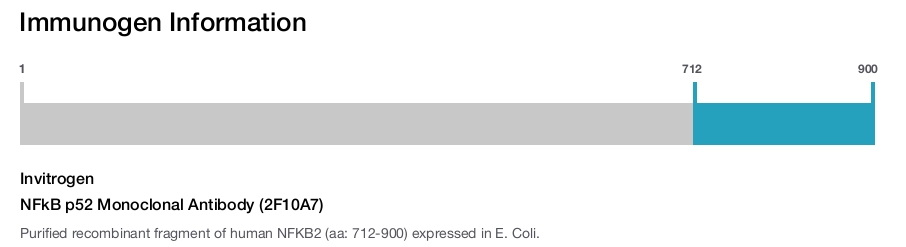 NFkB p52 Monoclonal Antibody (2F10A7)