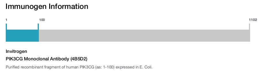 PIK3CG Monoclonal Antibody (4B5D2)