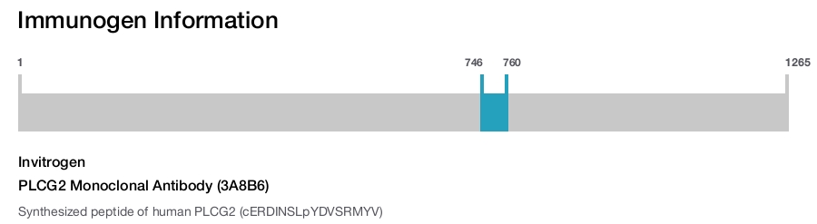 PLCG2 Monoclonal Antibody (3A8B6)