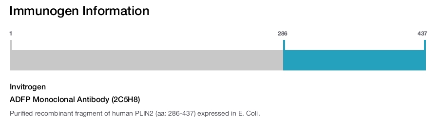 ADFP Monoclonal Antibody (2C5H8)