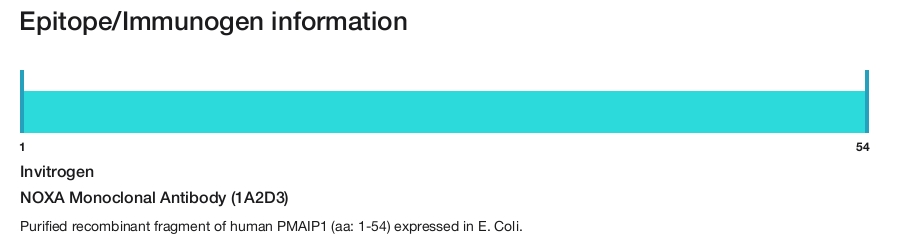 NOXA Monoclonal Antibody (1A2D3)