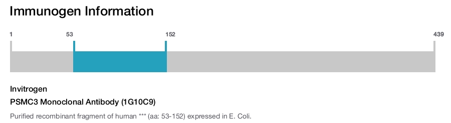 PSMC3 Monoclonal Antibody (1G10C9)