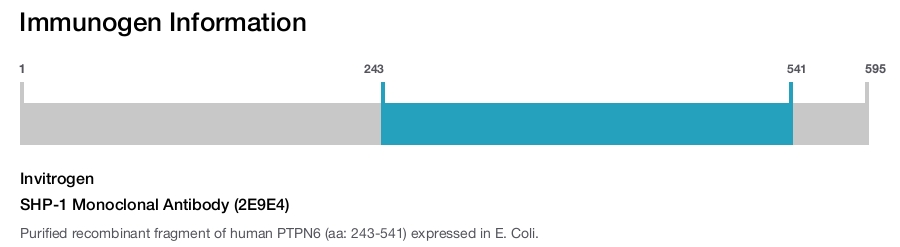 SHP-1 Monoclonal Antibody (2E9E4)