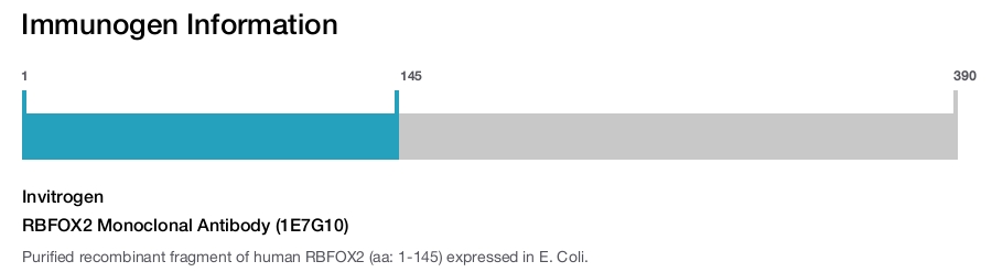 RBFOX2 Monoclonal Antibody (1E7G10)