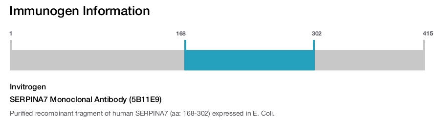 SERPINA7 Monoclonal Antibody (5B11E9)