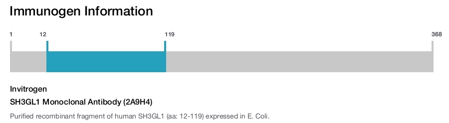 SH3GL1 Monoclonal Antibody (2A9H4)