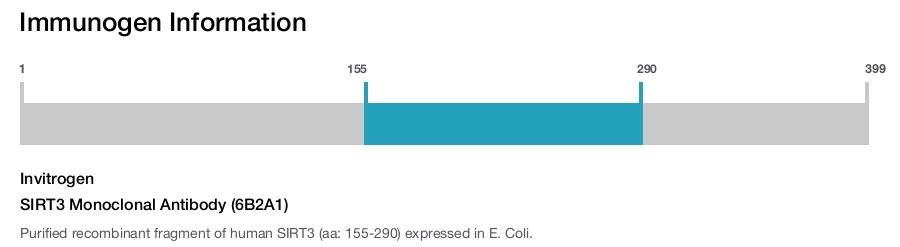 SIRT3 Monoclonal Antibody (6B2A1)