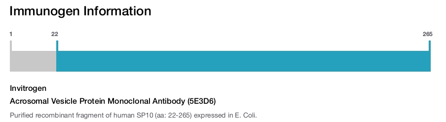 Acrosomal Vesicle Protein Monoclonal Antibody (5E3D6)