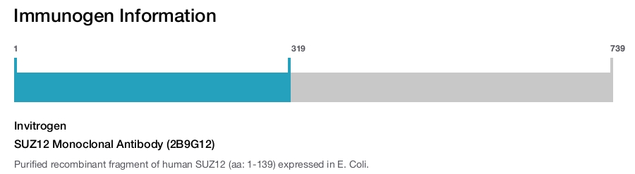 SUZ12 Monoclonal Antibody (2B9G12)