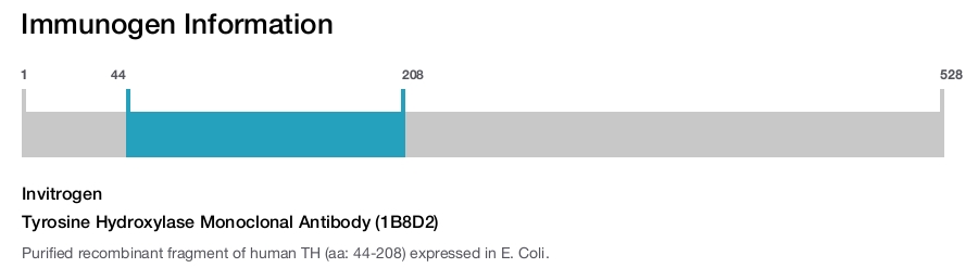 Tyrosine Hydroxylase Monoclonal Antibody (1B8D2)