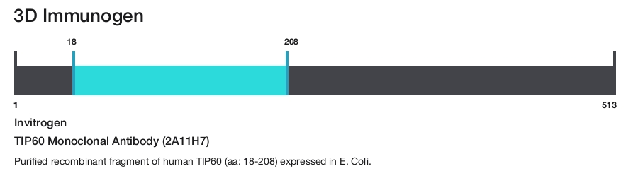 TIP60 Monoclonal Antibody (2A11H7)