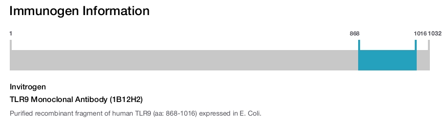 TLR9 Monoclonal Antibody (1B12H2)