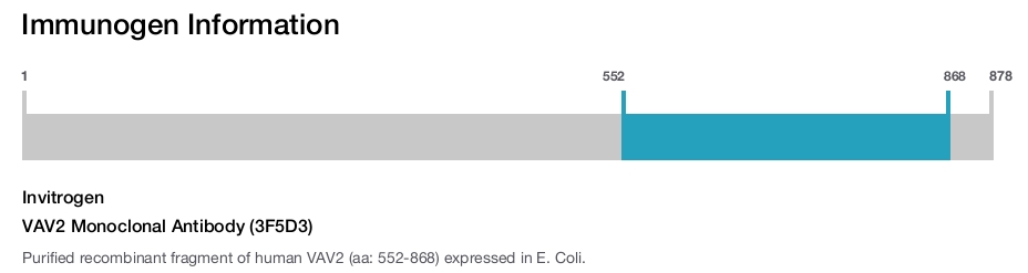 VAV2 Monoclonal Antibody (3F5D3)