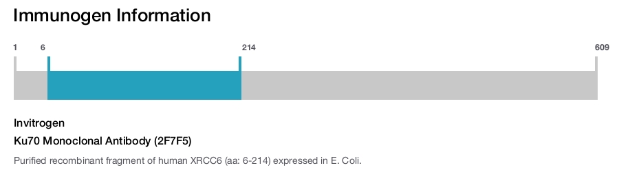 Ku70 Monoclonal Antibody (2F7F5)