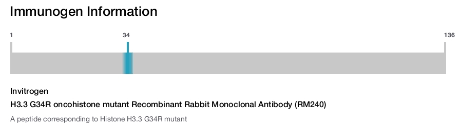 H3.3 G34R oncohistone mutant Recombinant Rabbit Monoclonal Antibody (RM240)