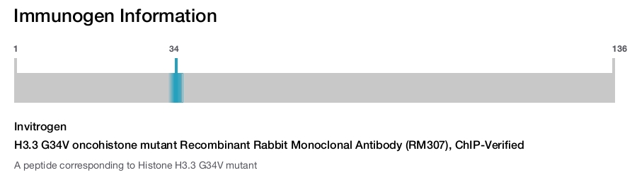 H3.3 G34V oncohistone mutant Recombinant Rabbit Monoclonal Antibody (RM307), ChIP-Verified