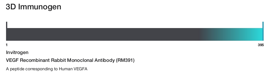 VEGF Recombinant Rabbit Monoclonal Antibody (RM391)