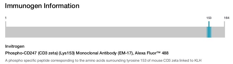 Phospho-CD247 (CD3 zeta) (Lys153) Monoclonal Antibody (EM-17), Alexa Fluor&trade; 488