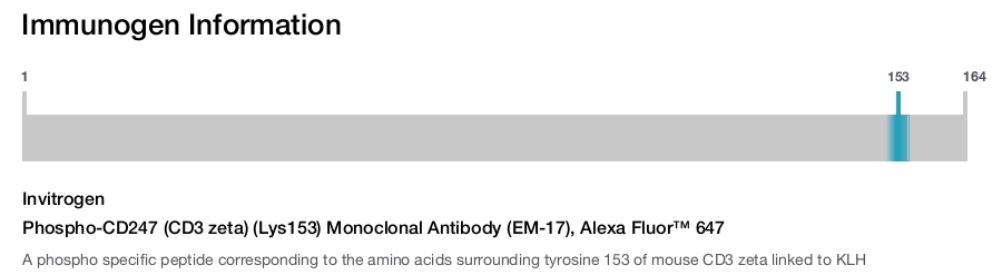 Phospho-CD247 (CD3 zeta) (Lys153) Monoclonal Antibody (EM-17), Alexa Fluor&trade; 647