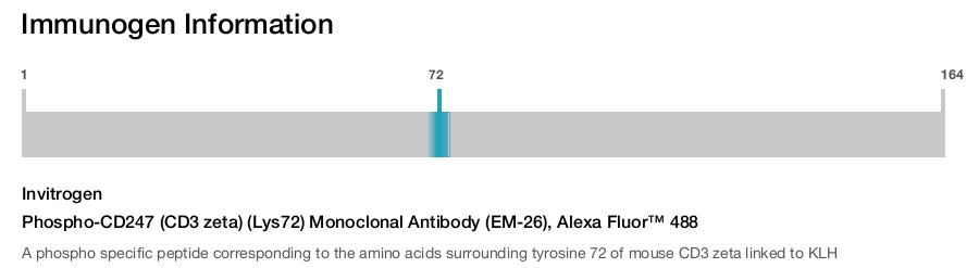 Phospho-CD247 (CD3 zeta) (Lys72) Monoclonal Antibody (EM-26), Alexa Fluor&trade; 488