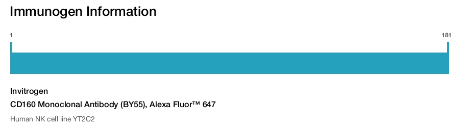 CD160 Monoclonal Antibody (BY55), Alexa Fluor™ 647