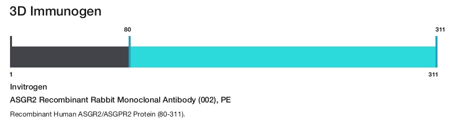 ASGR2 Recombinant Rabbit Monoclonal Antibody (002), PE