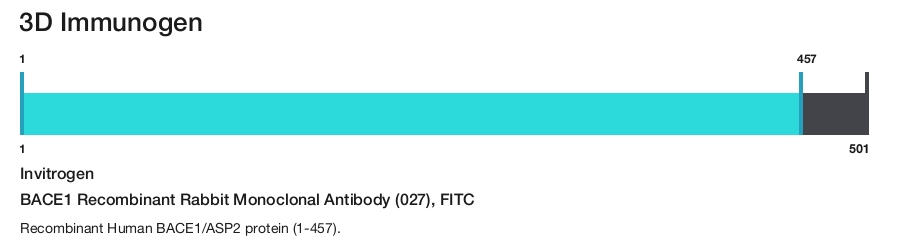 BACE1 Recombinant Rabbit Monoclonal Antibody (027), FITC