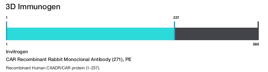 CAR Recombinant Rabbit Monoclonal Antibody (271), PE