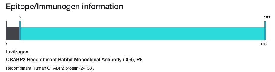 CRABP2 Recombinant Rabbit Monoclonal Antibody (004), PE