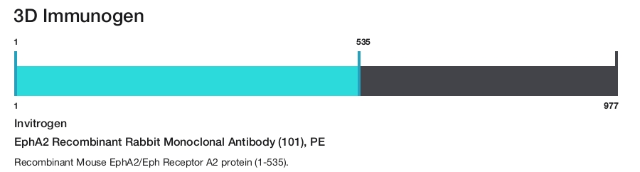 EphA2 Recombinant Rabbit Monoclonal Antibody (101), PE