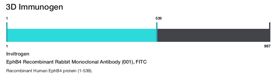 EphB4 Recombinant Rabbit Monoclonal Antibody (001), FITC