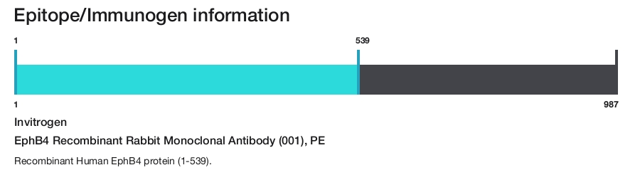 EphB4 Recombinant Rabbit Monoclonal Antibody (001), PE
