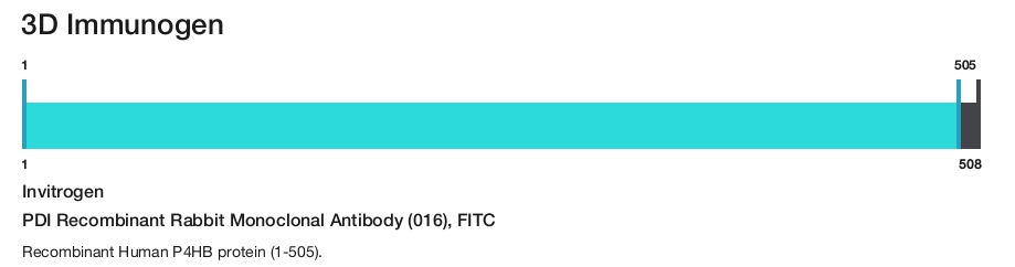 PDI Recombinant Rabbit Monoclonal Antibody (016), FITC