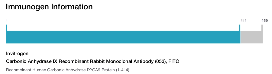 Carbonic Anhydrase IX Recombinant Rabbit Monoclonal Antibody (053), FITC
