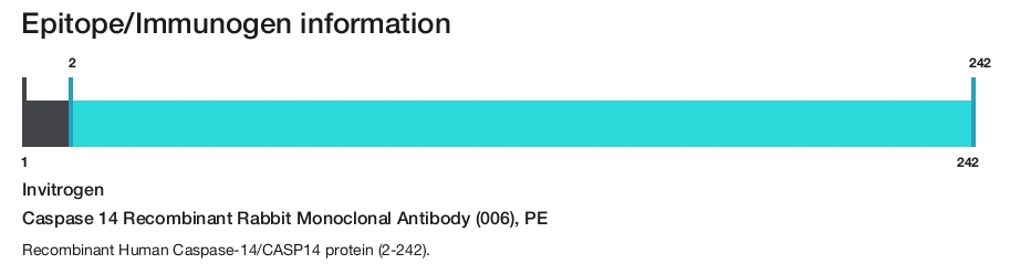 Caspase 14 Recombinant Rabbit Monoclonal Antibody (006), PE