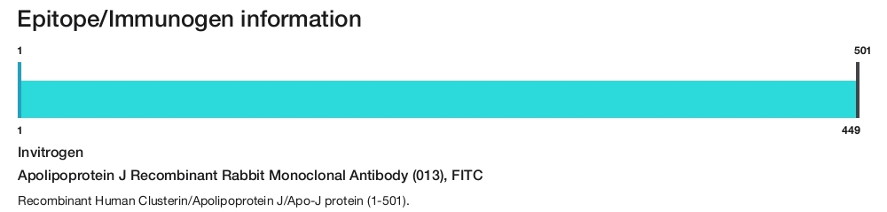 Apolipoprotein J Recombinant Rabbit Monoclonal Antibody (013), FITC