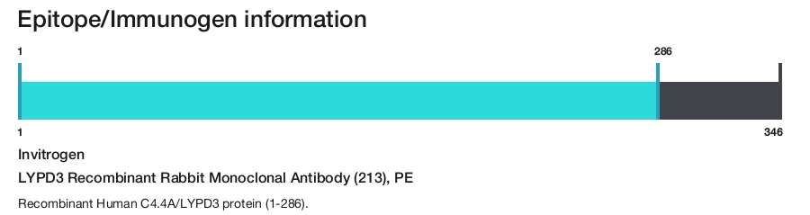 LYPD3 Recombinant Rabbit Monoclonal Antibody (213), PE