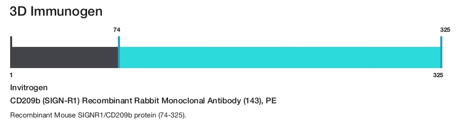 CD209b (SIGN-R1) Recombinant Rabbit Monoclonal Antibody (143), PE