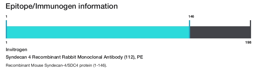 Syndecan 4 Recombinant Rabbit Monoclonal Antibody (112), PE