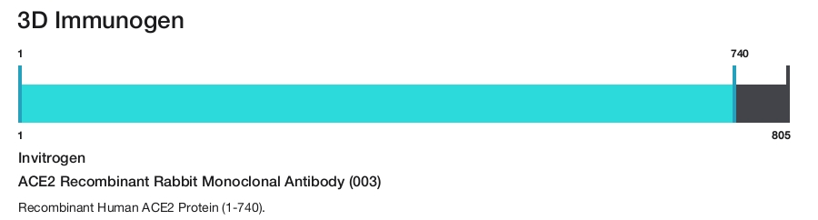 ACE2 Recombinant Rabbit Monoclonal Antibody (003)
