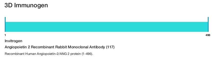 Angiopoietin 2 Recombinant Rabbit Monoclonal Antibody (117)