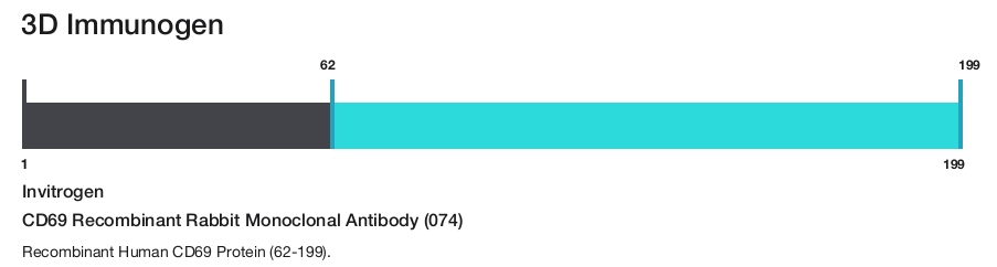 CD69 Recombinant Rabbit Monoclonal Antibody (074)