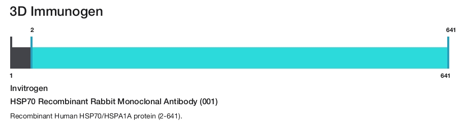 HSP70 Recombinant Rabbit Monoclonal Antibody (001)