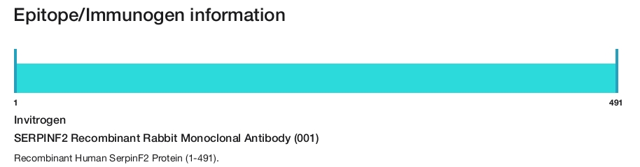 SERPINF2 Recombinant Rabbit Monoclonal Antibody (001)