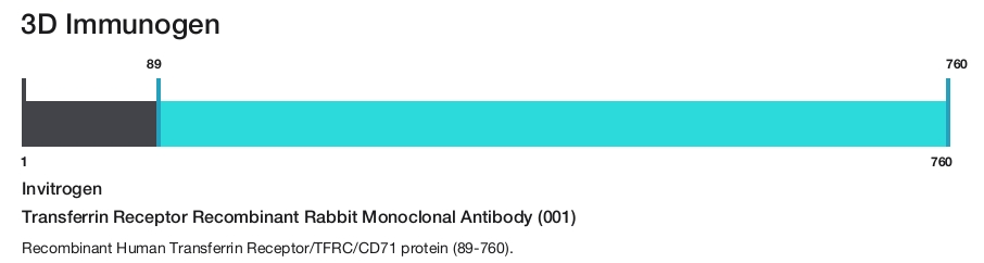 Transferrin Receptor Recombinant Rabbit Monoclonal Antibody (001)