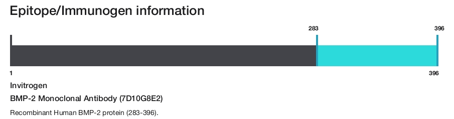 BMP-2 Monoclonal Antibody (7D10G8E2)