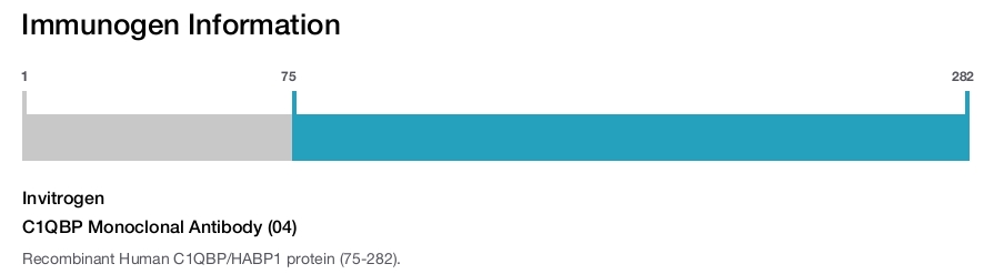 C1QBP Monoclonal Antibody (04)