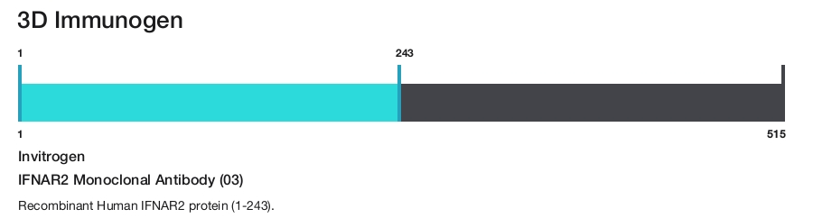 IFNAR2 Monoclonal Antibody (03)